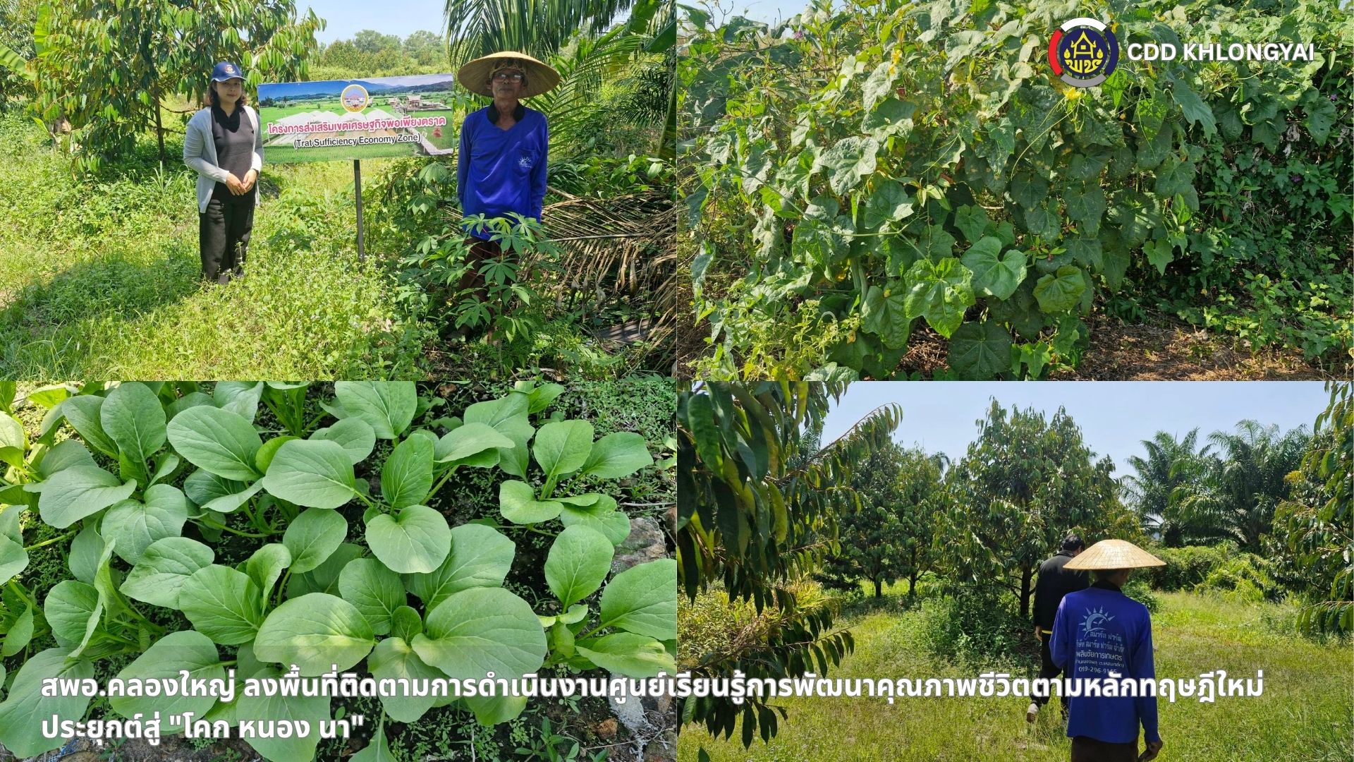 🚢🌊สพอ.คลองใหญ่ ลงพื้นที่ติดตามการดำเนินงานศูนย์เรียนรู้การพัฒนาคุณภาพชีวิตตามหลักทฤษฎีใหม่ ประยุกต์สู่ "โคก หนอง นา"