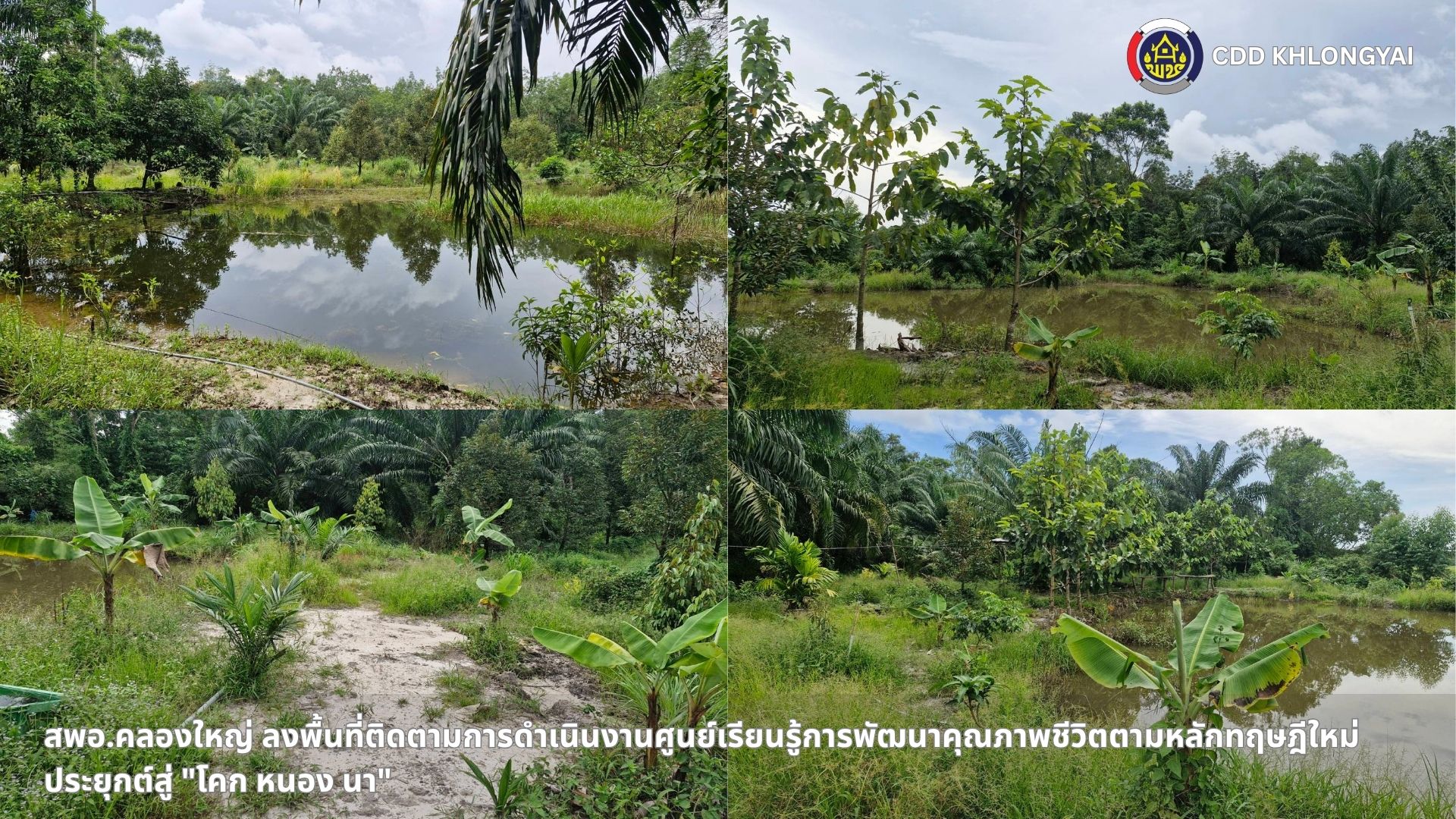 🚢🌊สพอ.คลองใหญ่ ลงพื้นที่ติดตามการดำเนินงานศูนย์เรียนรู้การพัฒนาคุณภาพชีวิตตามหลักทฤษฎีใหม่ ประยุกต์สู่ "โคก หนอง นา"